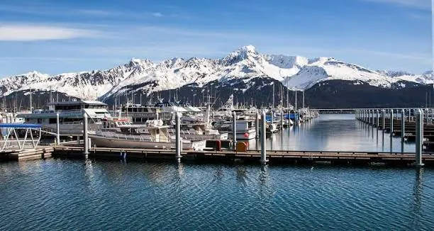 The Seward small boat harbour with the charter fleet alongside and mountains behind